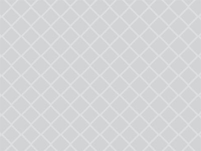 Insul-Wrap Silver - 14" x 16"