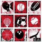 Sports Basket Liners